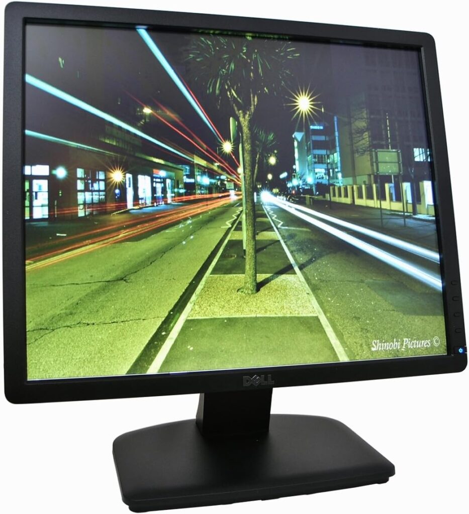 Dell E1913S Monitor