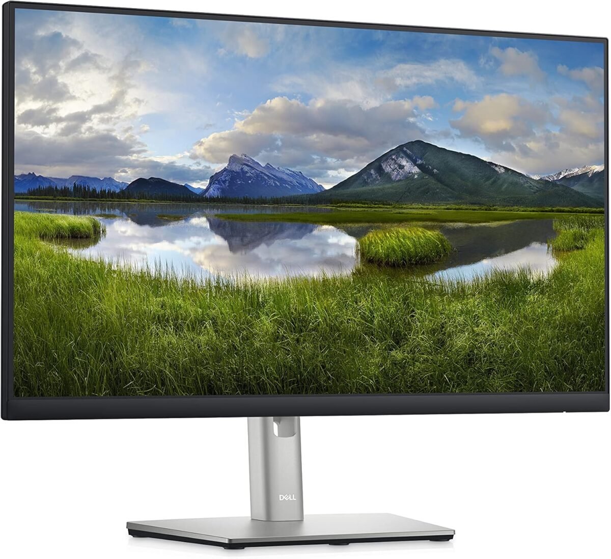 Dell 24 Monitor P2422H