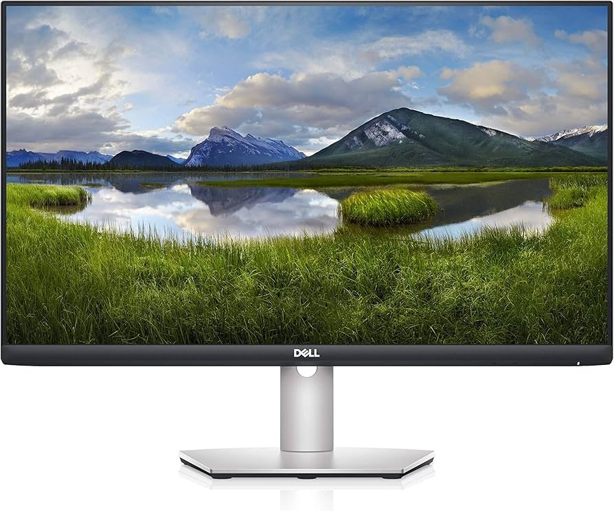 Dell 24 Monitor P2422H