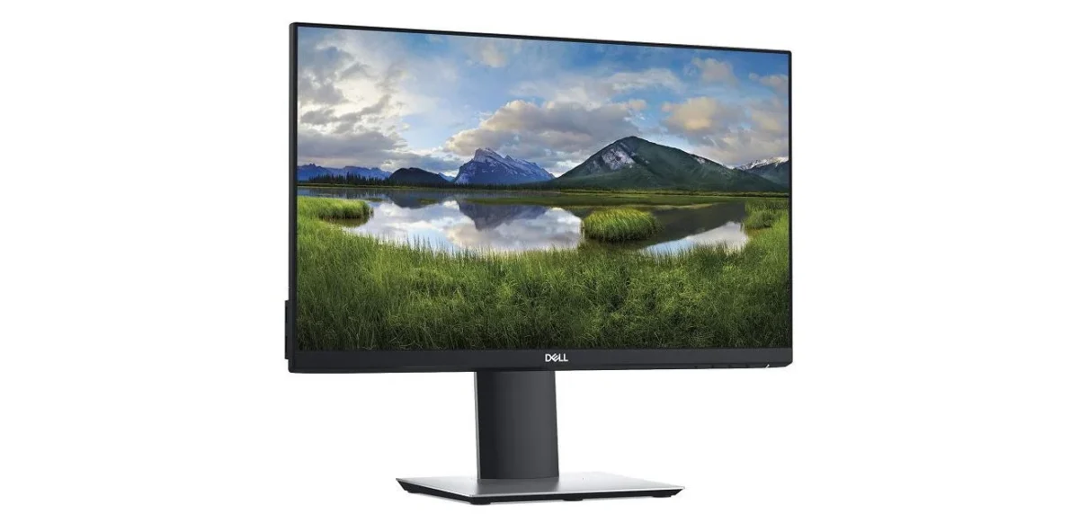 Dell P2219H Monitor