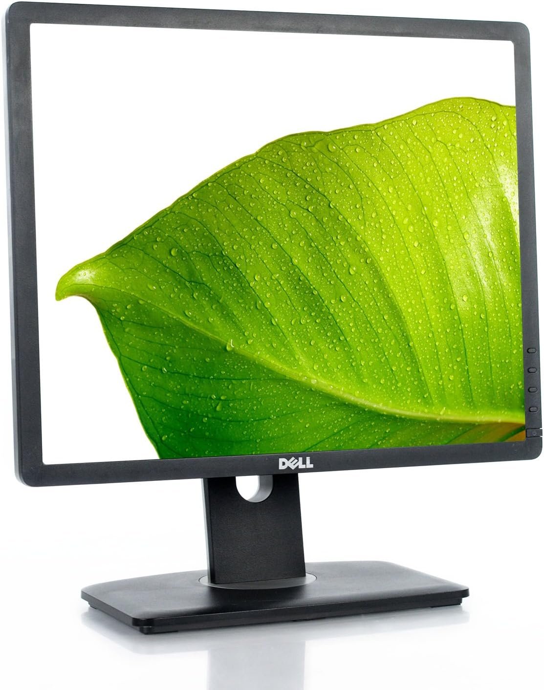 DELL Professional P1913S 19.0-Inch Screen LED-lit Monitor DELL Professional P1913S 19.0-Inch Screen LED-lit Monitor