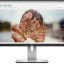 Dell UltraSharp U2415 24 inch monitor