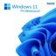 windows-11-pro.jpg microsoft windows 11 pro 64-bit - oem
